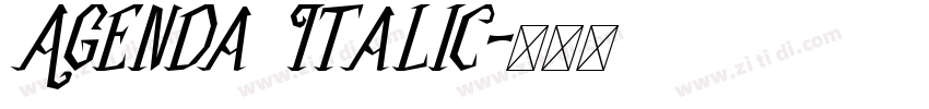 Agenda Italic字体转换 Agenda Italic字体转换